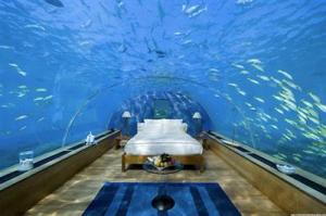 بالصور:افتتاح غرف نوم تحت مياه المحيط الهندي في احدى فنادق Image
