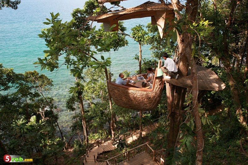 فندق معلق على الاشجار في تايلند Image