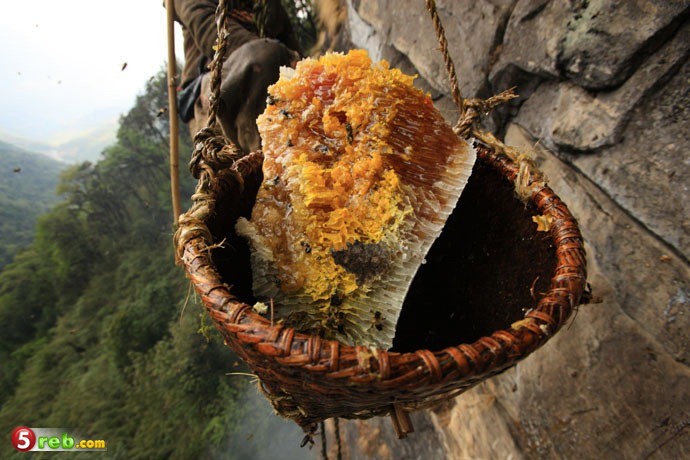 طريق جمع العسل الجبلي في النيبال Image