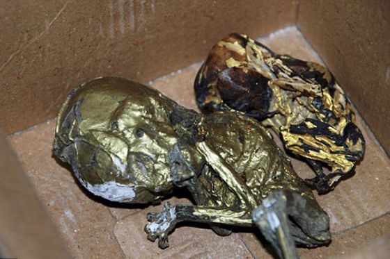 في تايلاند.. جثث أطفال مطلية بالذهب لممارسة السحر الأسود