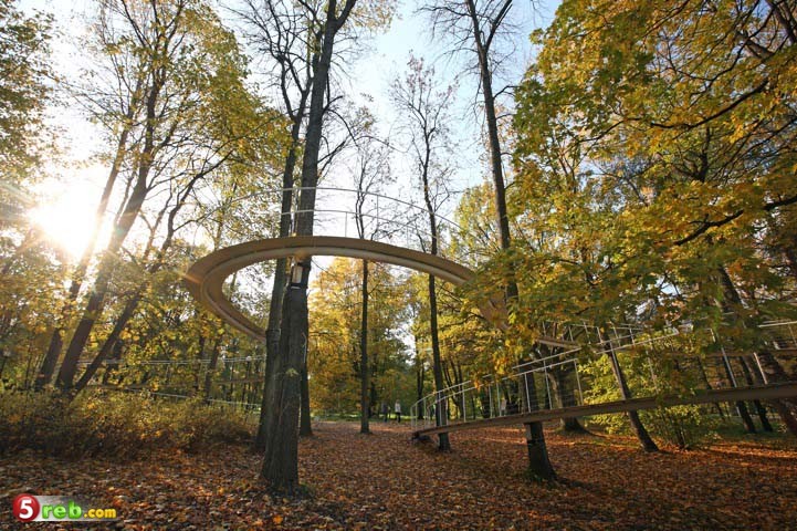تصميم رائع لجسر معلق في الغابة